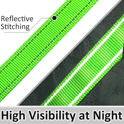 3 Handle Dog Leash 10FT Triple