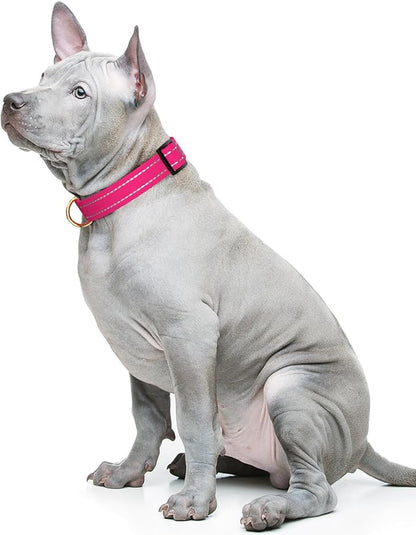 Reflective Dog Collar