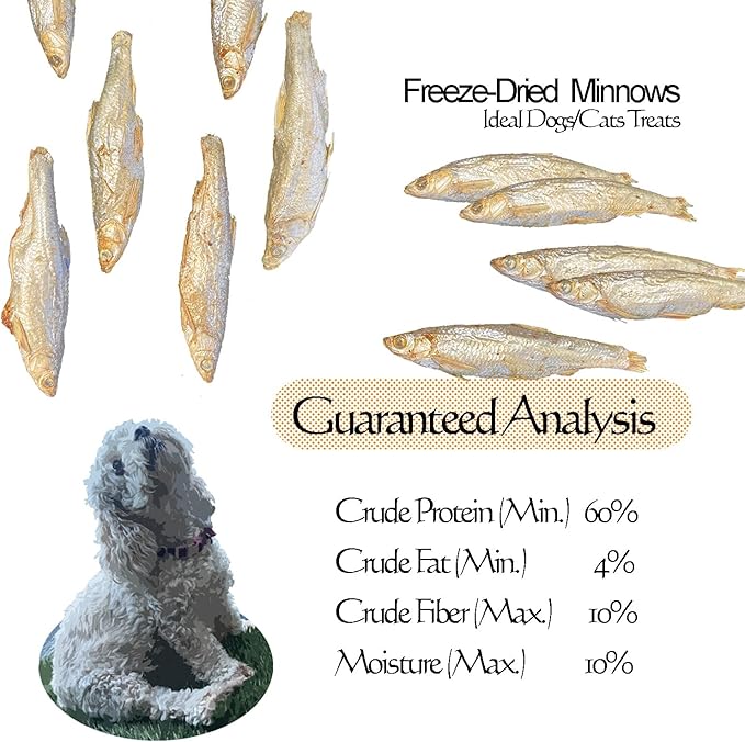 Amzey Minnows - 7 oz Freeze Dried - 100% Natural Premium Cat Treats - Minnows Treats - Freeze Dried Minnows for Cats & Dogs - Bulk Package Minnows (1.6 "to 2.8" Length Each)