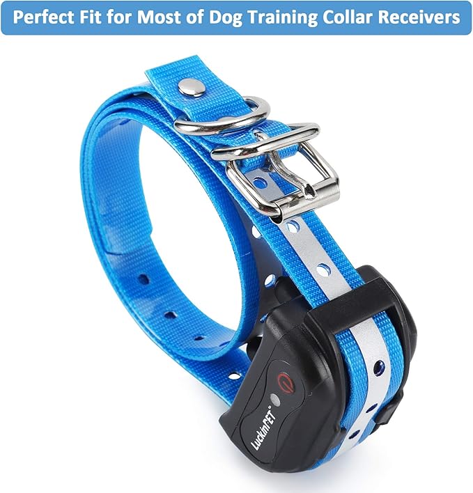 Replacement Collar Strap 3/4',Reflective,Adjustable,Metal Buckled,Waterproof