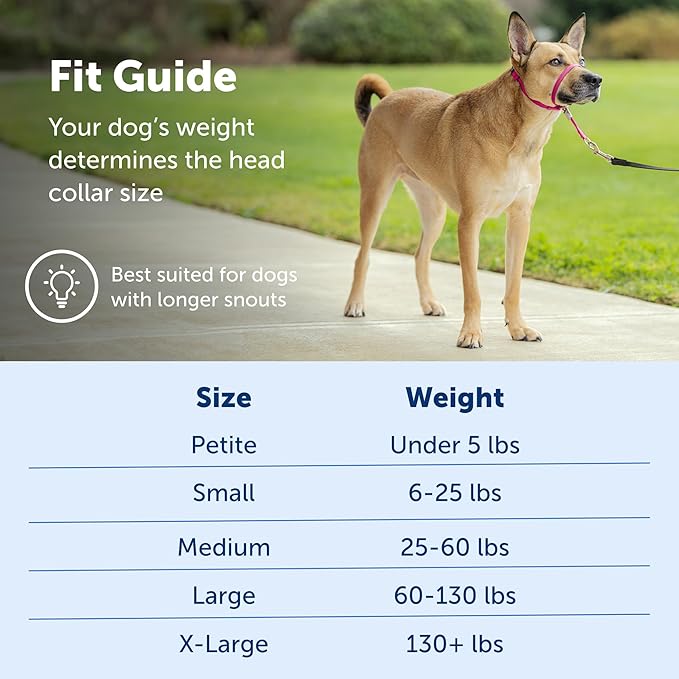 PetSafe Gentle Leader No-Pull Dog Headcollar