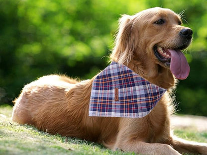 Lionet Paws Dog Bandana Washable Cotton Handkerchief Scarf