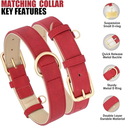Beirui Soft Padded Leather Dog Collar and Leash Set 4FT Leather