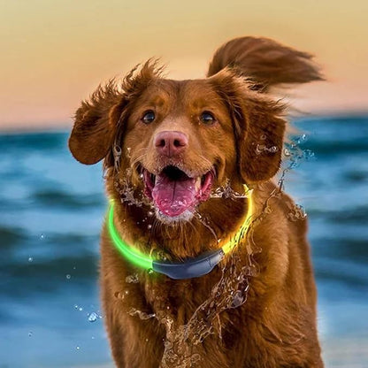 Dog Shock Collar Rubber Tips 16 pcs