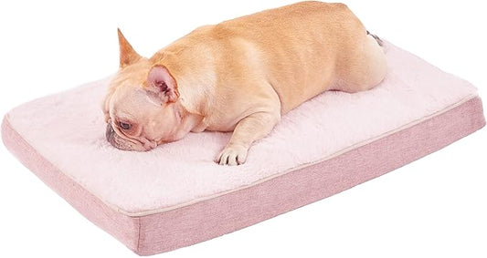 Medium Dog Beds for Medium Dogs