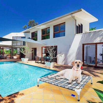 Elevated Dog Bed Raised Dog Bed