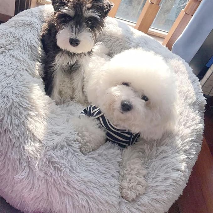 Cat Beds for Indoor Cats 15 inches