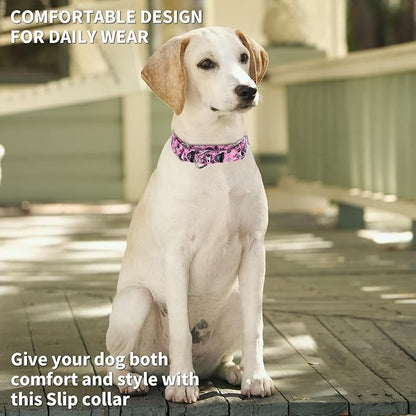 Martingale Dog Collars - Flower Multicolor Cute Patterns, Adjustable Nylon Training Dog Collar Suitable for Boy and Girl Dogs Medium Large Dogs (1, M)