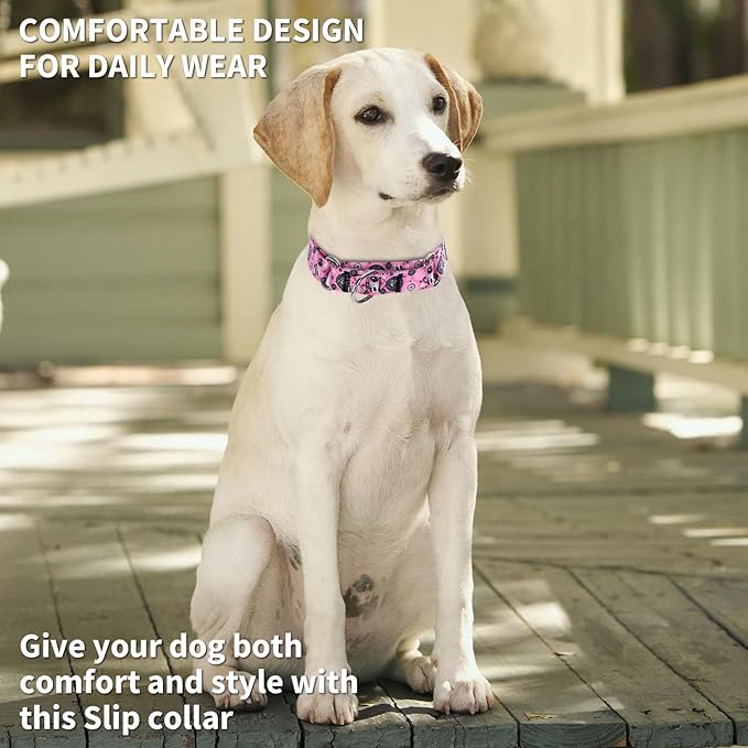 Martingale Dog Collars - Flower Multicolor Cute Patterns, Adjustable Nylon Training Dog Collar Suitable for Boy and Girl Dogs Medium Large Dogs (18, L)