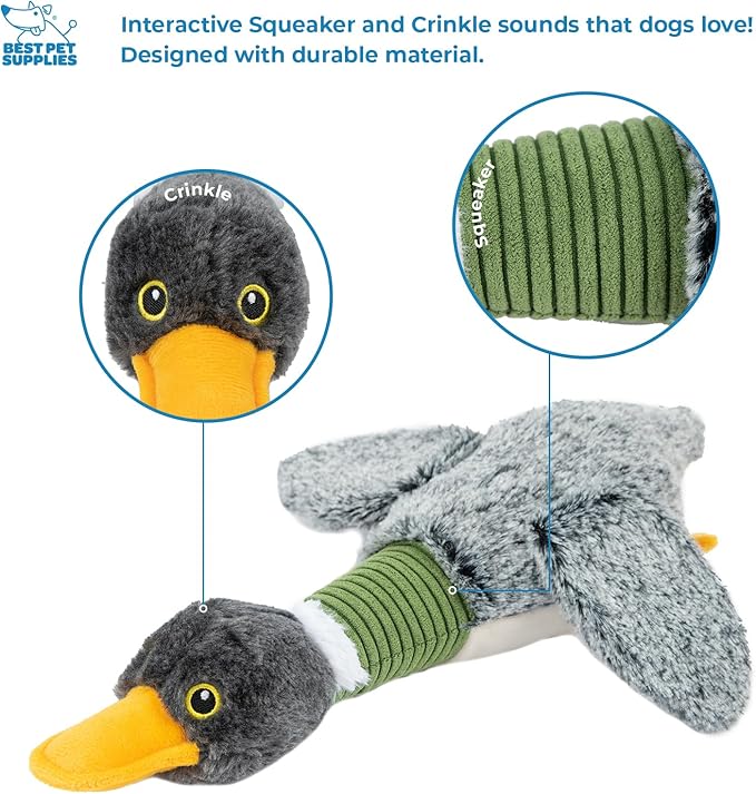 Best Pet Supplies Interactive Mallard Mates Dog Toy with Crinkle and Squeaky Enrichment for Small and Medium Breed Puppies or Dogs, Cute and Plush - Mallard Duck Wing (Gray), Medium