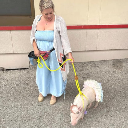 Mini Pig Harness & Leash (S/M) Fully Adjustable, Infinity Style Lead, Step-in Harness, Potbelly Pig Supplies, All-in One, Pig Leash, Ideal for Small & Medium Pet Pigs (Small, Eggshell Blue)