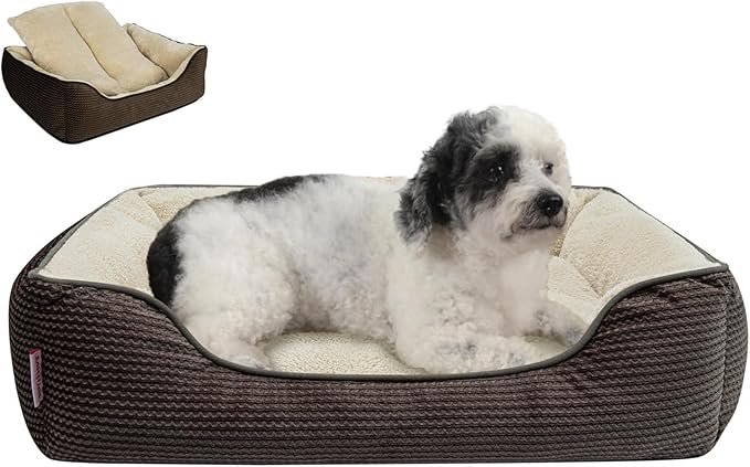 Miguel Dog Bed with Removable Cushion/Pillow for Medium Small Dogs 25 Inch