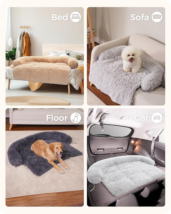 Small Dog Bed