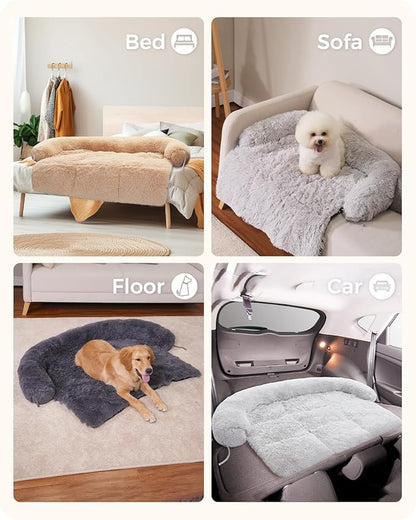Small Dog Bed
