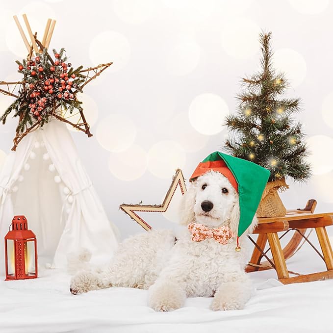 Lionheart glory Christmas Dog Collar