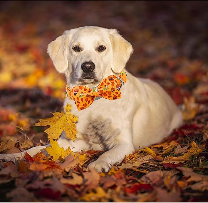Lionheart glory Thanksgiving Dog Collar, Turkey Pumpkin Dog Bow Collar Adjustable Soft Comfortable Bowtie Collars for Lager Dogs Girl or Boy Fall Collar Dog Bow Pet Gift