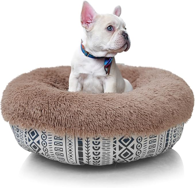 Modern Dog Beds for Small Dogs 19 inches 15 lbs