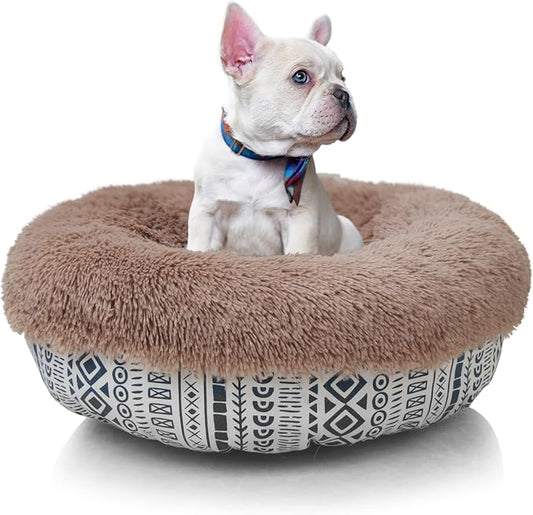 Modern Dog Beds for Small Dogs 19 inches 15 lbs