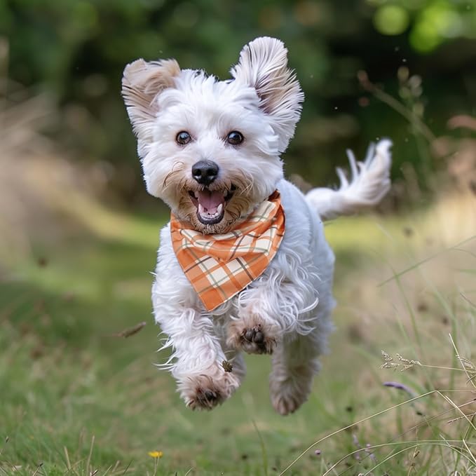 Fall Dog Bandana 2 Pack Thanksgiving Dog Bandana Polka Dot Pet Scarf Reversible Fall Triangle Bibs Soft Cotton Boy Girl Dog Bandanas Accessories for Small, Medium, Large Dogs (Large)