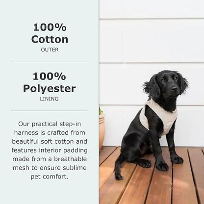 FuzzYard Life Corduroy Step in Dog Harness