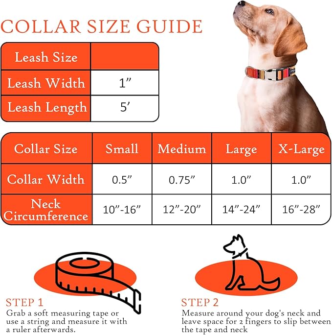 Gilley&Co Dog Collar and Leash Set 8 Designs, 4 Sizes