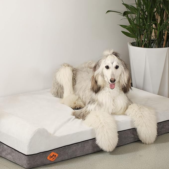 Laifug Orthopedic Memory Foam Dog Bed Extra Large