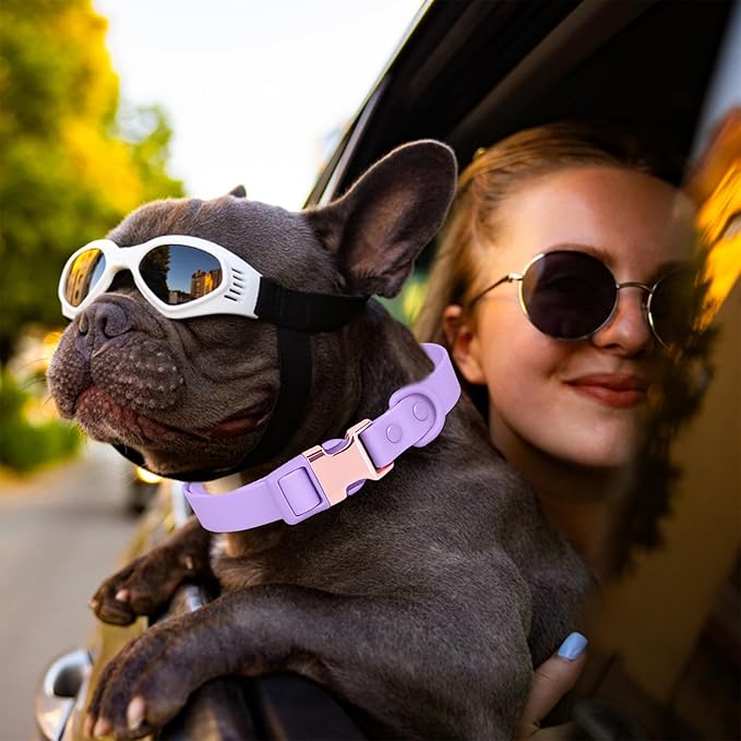 Waterproof Dog Collar with Safety Metal Buckle