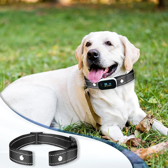 Reflective Collar Replacement Strap (2.5 cm