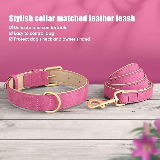 Beirui Soft Padded Leather Dog Collar and Leash Set 4FT Leather