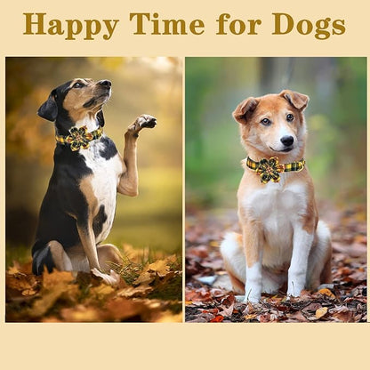 Unique style paws Dog Collar with Flower Tie