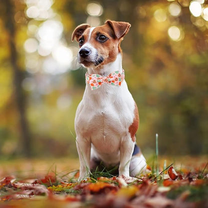 ARING PET Fall Dog Collar-Cute Pink Dog Collar with Bow