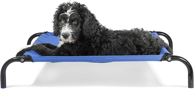 Furhaven Elevated Dog Bed for Small Dogs