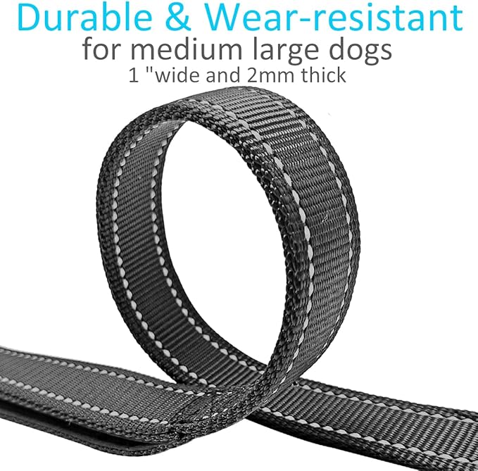 3 Handle Dog Leash 10FT Triple