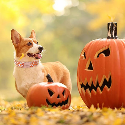 Unique style paws Dog Collar Metal Buckle Collar