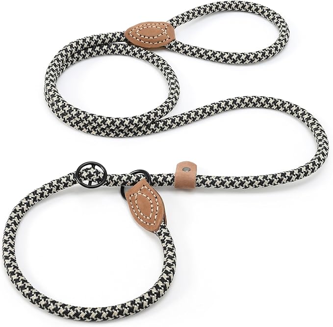 Mile High Life Slip Leads for Dogs 6 Feet