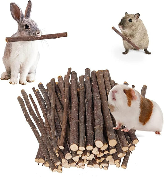 600g Apple Sticks Molar Treats, Rabbit Toys Bunny Toys Chinchilla Toys Wood Chews for Teeth Rabbit Food Guinea Pig Hamster Gerbil Toy Sticks Pet Snacks(150 Pcs)