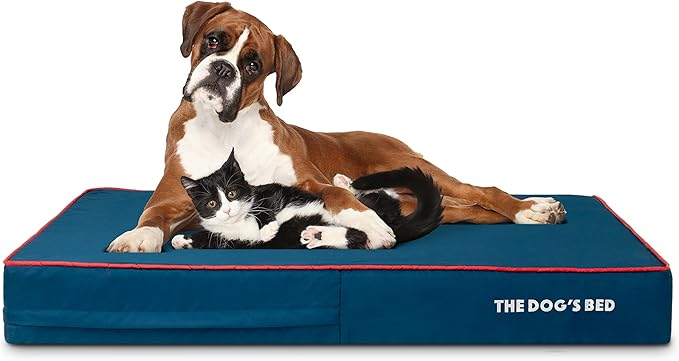 The Dog’s Bed Orthopedic Memory Foam Dog Bed 46x28, Pain