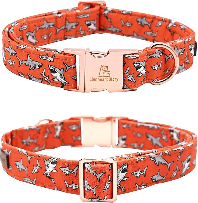 Lionheart glory Dog Collar Shark Print Dog Collar