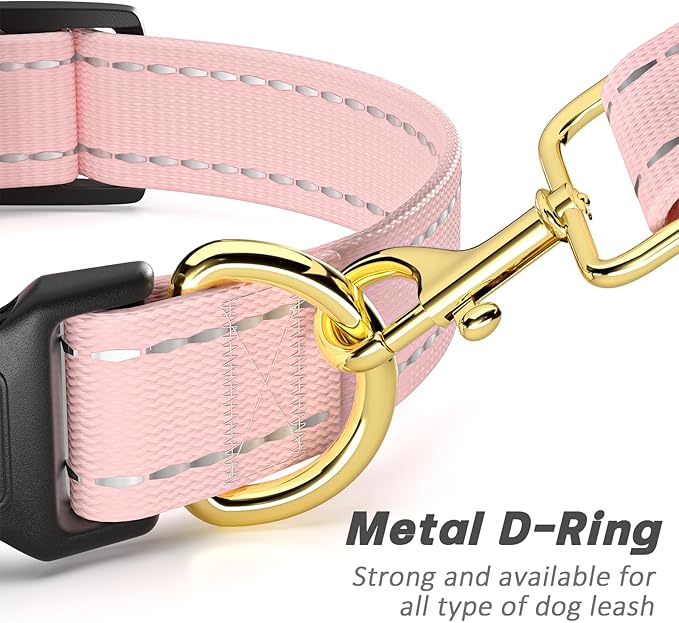 Reflective Dog Collar