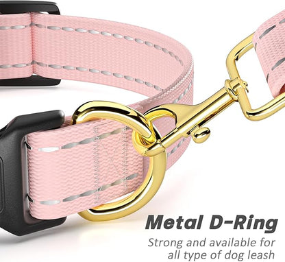 Reflective Dog Collar