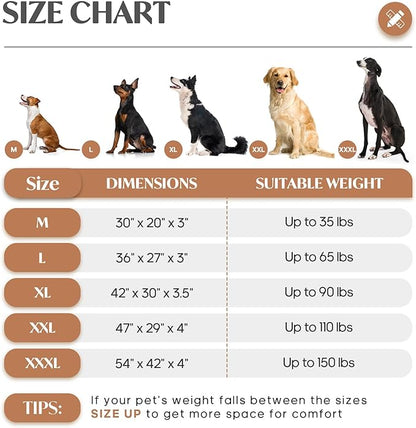 Medium Dog Bed for Dogs up to 35