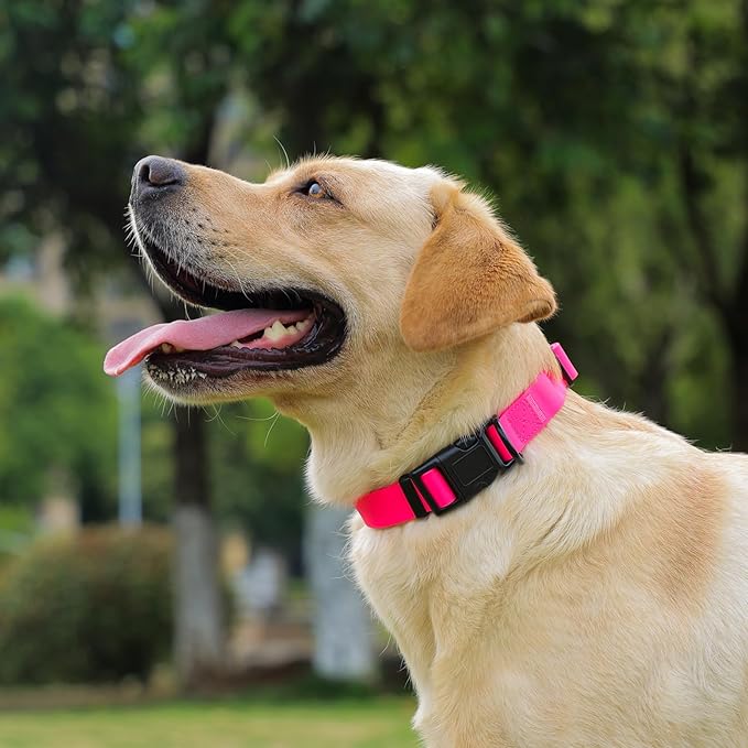 Waterproof Dog Collar 9.5-14.1 inch)