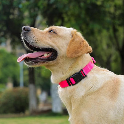 Waterproof Dog Collar 9.5-14.1 inch)