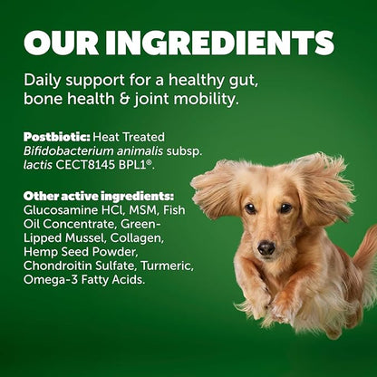 Daily Care Gut+ Mobility, 60 postbiotic Dog Supplement Chews – Chicken and Bacon Flavored