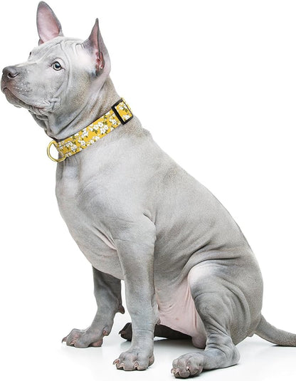 Reflective Dog Collar