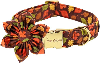 Unique style paws Fall Dog Collar with Bow