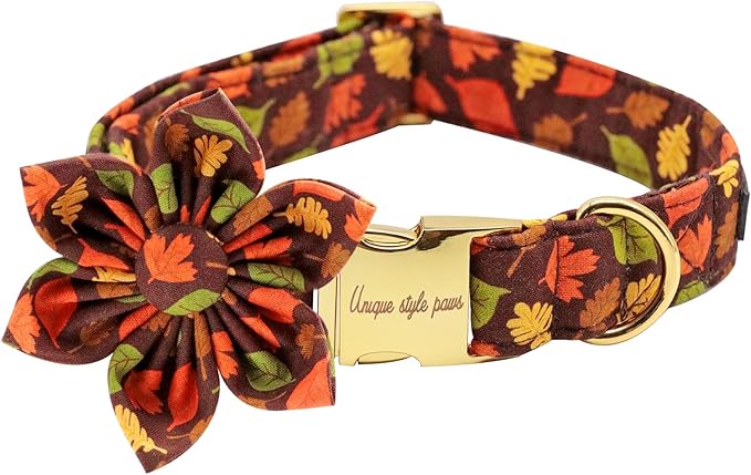 Unique style paws Fall Dog Collar with Bow