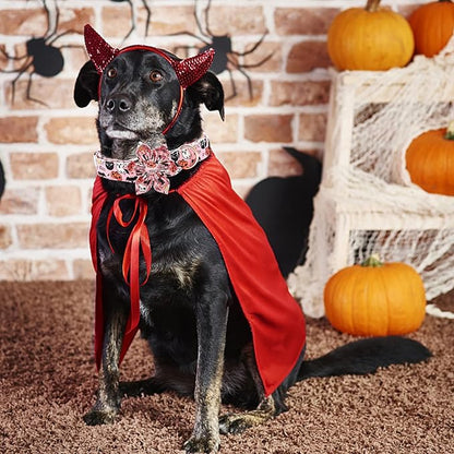 Elegant little tail Dog Collar with Flower