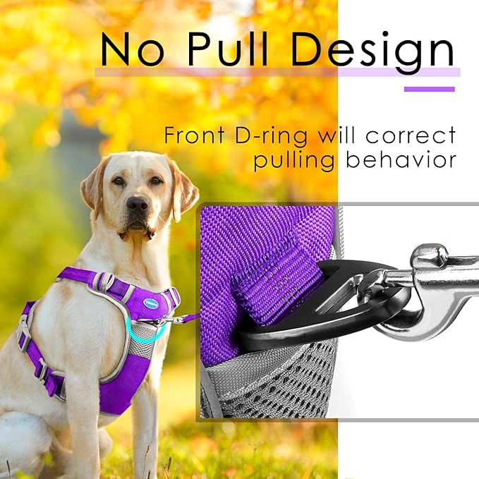 ThinkPet No Pull Harness Breathable Sport Harness with Handle-Dog Harnesses Reflective Adjustable for Medium Large Dogs,Back/Front Clip for Easy Control L Neon Purple