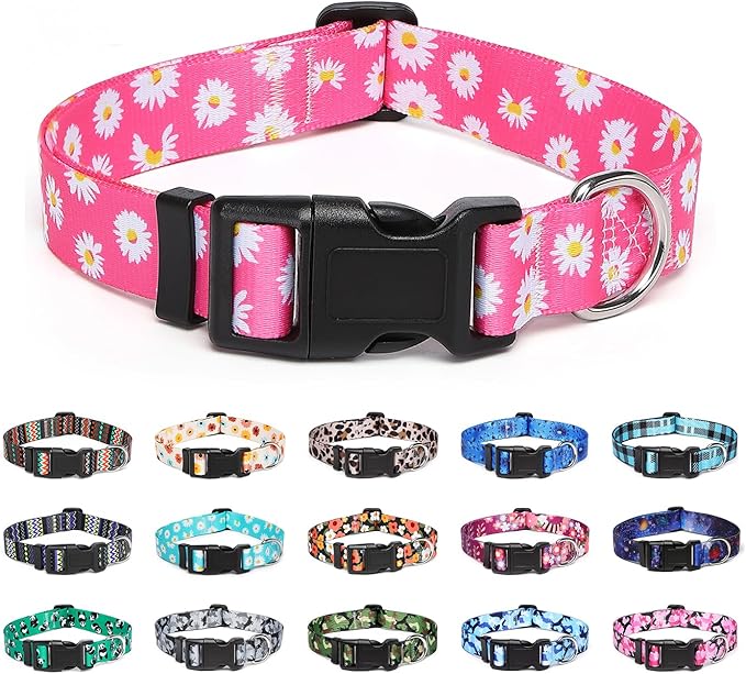Adjustable Dog Collar with Patterns